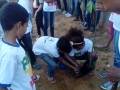 Arborização mobilizou cerca de 130 alunos em Petrolina. Atividades ocorreram nos dias 11, 14 e 24.05.