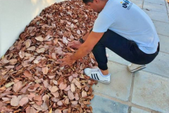  RESTOS DE ALIMENTOS DO RU VIRAM COMPOSTO ORGÂNICO