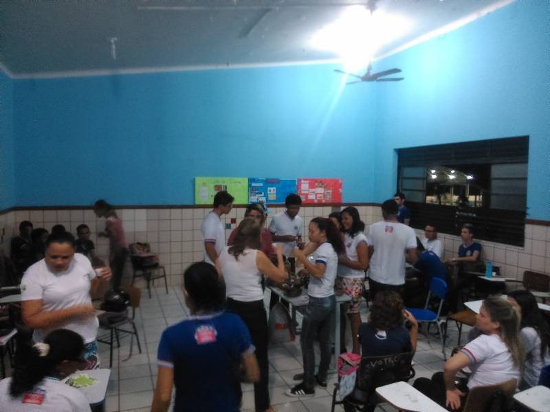 Atividade sobre plantas medicinais - Colégio Estadual Rui Barbosa - Juazeiro-BA - 25.08.15