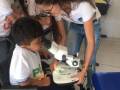 Atividade Saúde Ambiental. Escola Municipal Ariano Suassuna. Petrolina-PE. 25/10/2019.