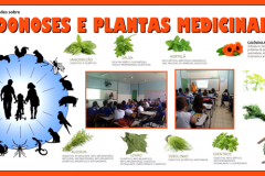 Saúde Ambiental: Zoonoses e Plantas Medicinais