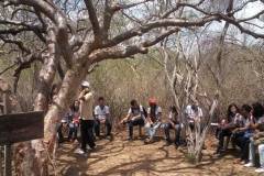 Trilha Ecológica na Caatinga