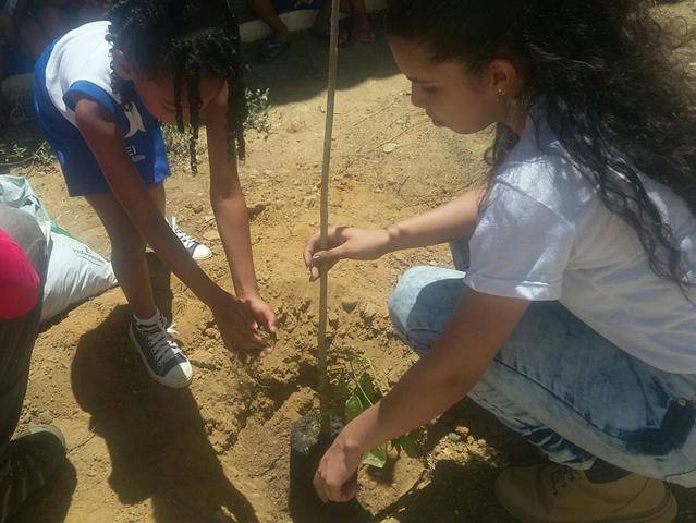 Atividades de Arborização. Escola Dilma Calmon. Juazeiro-BA. 25-11-2016