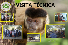 Visita ao Parque Zoobotânico sensibiliza alunos e professores