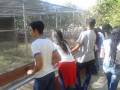 Visita técnica ao Parque Zoobotânico. Escola Marechal Antonio Alves Filho. Petrolina-PE. 28-07-2016