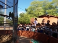 Visitas ocorreram ao Parque Botânico e à Chesf e mobilizaram 70 alunos das escolas Nosso Espaço, em Petrolina, e Cecílio Mattos, em Juazeiro