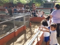Visitas ocorreram ao Parque Botânico e à Chesf e mobilizaram 70 alunos das escolas Nosso Espaço, em Petrolina, e Cecílio Mattos, em Juazeiro