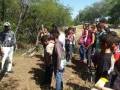 Atividade de visita aos laboratórios da Embrapa e trilha pela Caatinga – Escola Luis Cursino – Petrolina-PE – 11.03.16 ( (2)