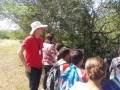 Atividade de visita aos laboratórios da Embrapa e trilha pela Caatinga – Escola Luis Cursino – Petrolina-PE – 11.03.16  ( (3)