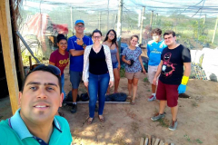  VIVEIROS: INSTRUMENTOS DE EDUCAÇÃO AMBIENTAL
