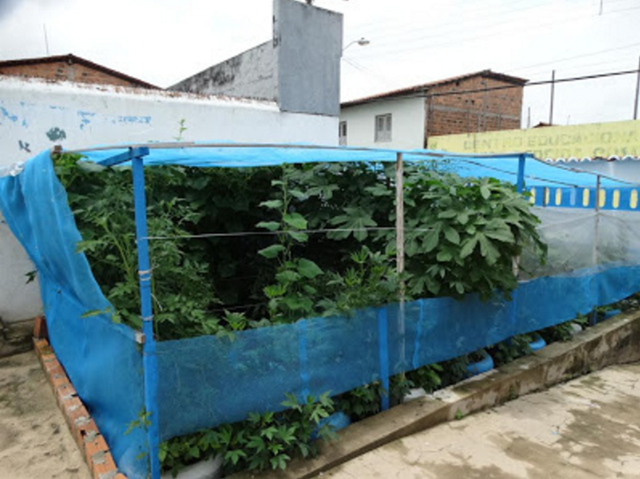 Escolas Municipais realizam Semana do Meio Ambiente através do Programa Jogue  Limpo – Prefeitura de Manoel Viana