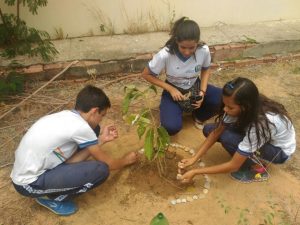 Arborização de escola
