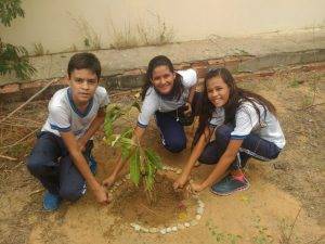 Arborização de escola