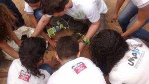 Arborização. Programa Escola Verde. 2016 