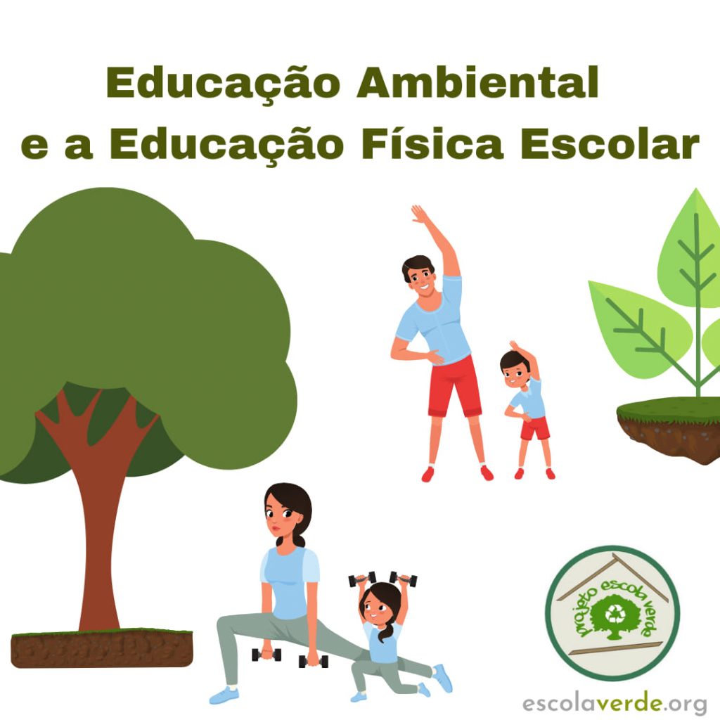 Educação ambiental e a educação física escolar