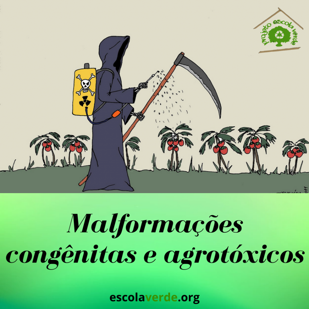 MAL FORMAÇÕES CONGÊNITAS E AGROTÓXICOS