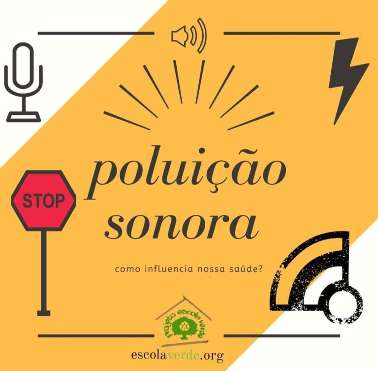 Impactos Da Polui O Sonora Programa Escola Verde