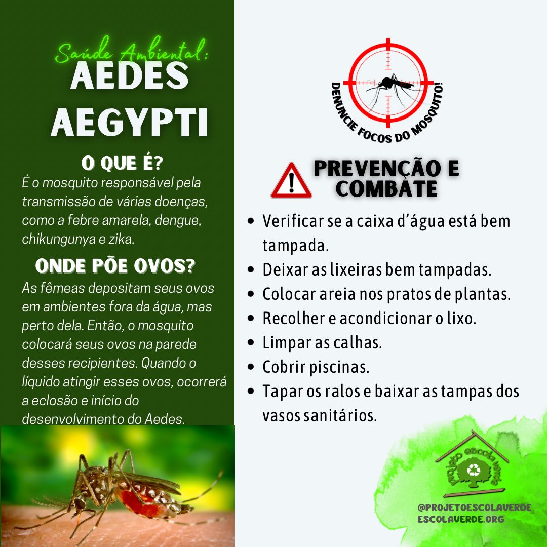 Aplicativo traz jogo interativo sobre como combater o Aedes