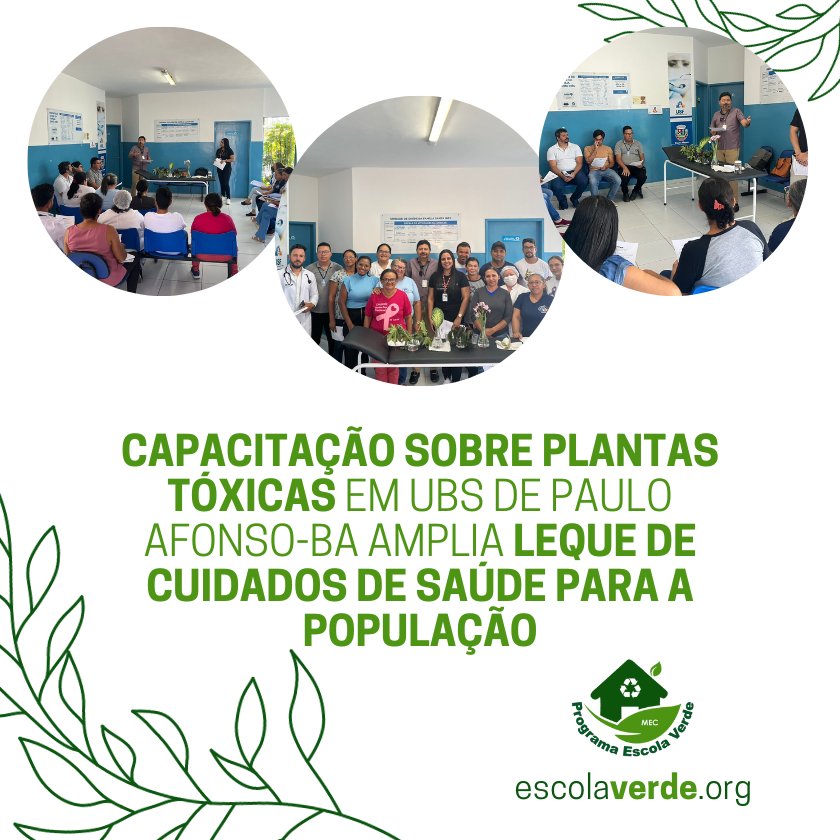 AMBIENTADOS” É O NOVO QUIZ DO PEV PARA EDUCAÇÃO AMBIENTAL